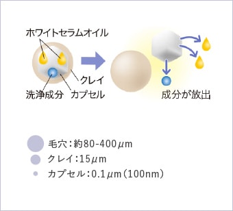 ホワイトセラムオイル 洗浄成分 カプセル クレイ 成分が放出　毛穴：約80-400μmクレイ：15μm カプセル：0.1μm(100nm)