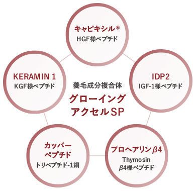 養毛成分複合体 グローイングアクセルSP　キャピキシル®　KERAMIN1　IDP2　カッパーペプチド　プロヘアリンβ4