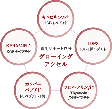 養毛サポート成分グローイングアクセル(キャピキシル、KERAMIN1、カッパーペプチド、プロヘアリンβ4、IDP2)